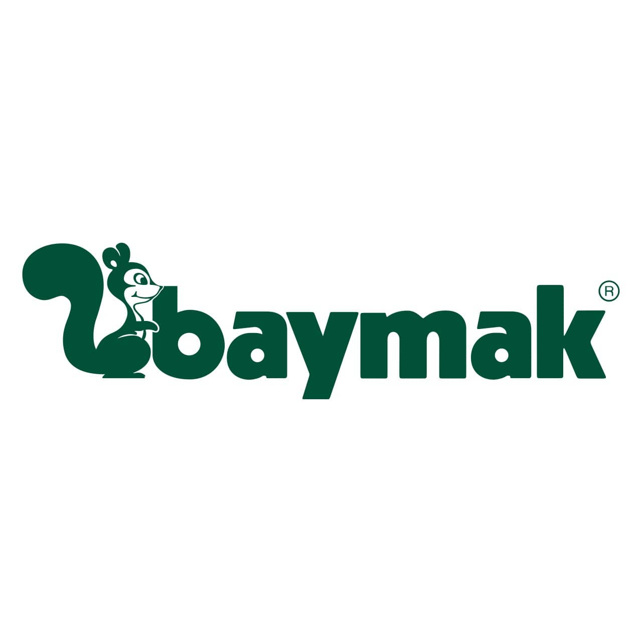 Baymak Kombi Servisi